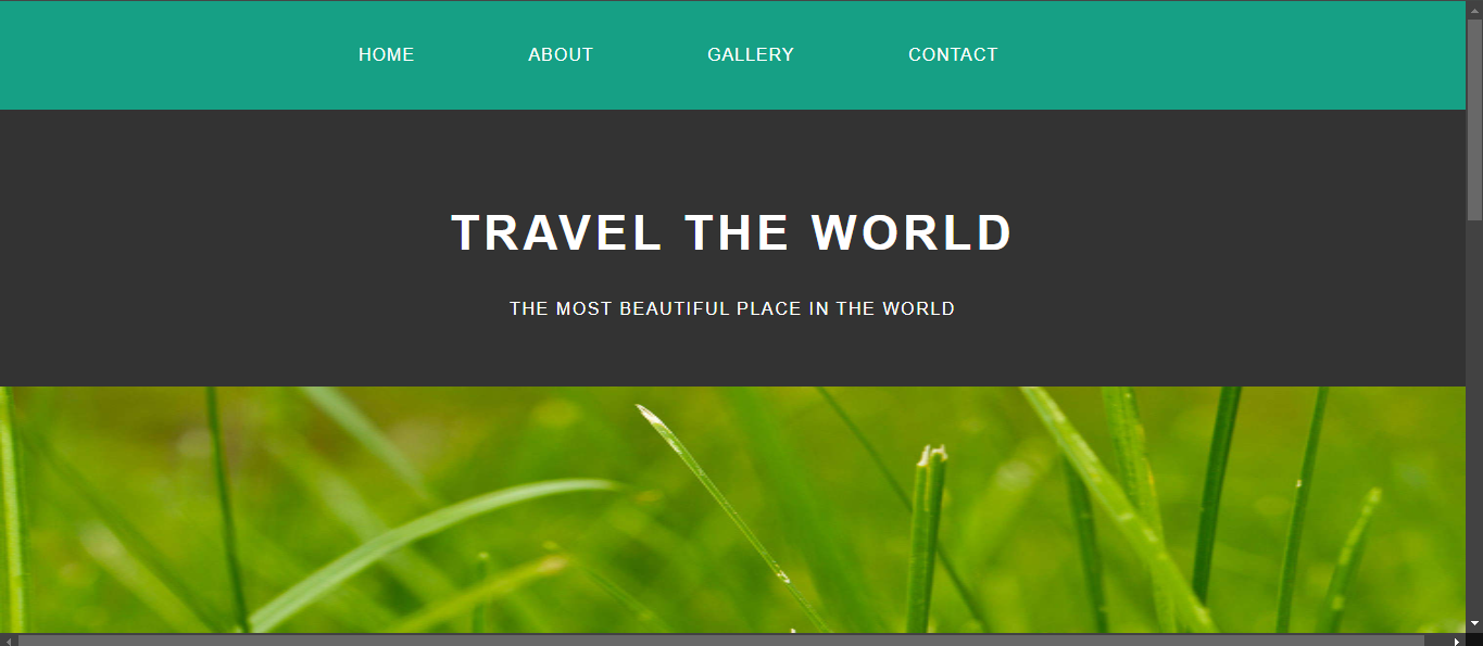 Travel the World